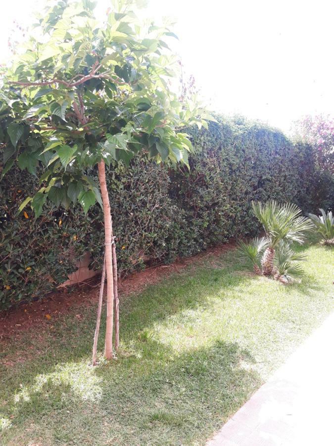 איסולה דלה פמינה Villa Le Due Palme מראה חיצוני תמונה